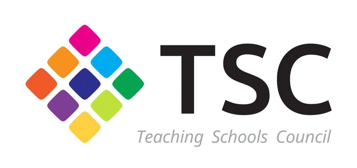 Focus on ... The Teaching Schools Council