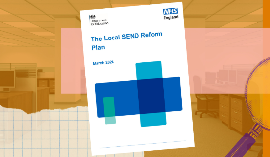 Council SEND reform plans could dodge public scrutiny