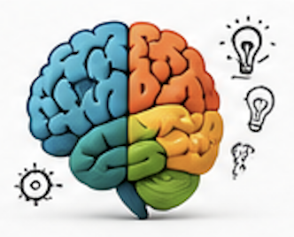 Learning styles and cognitive development