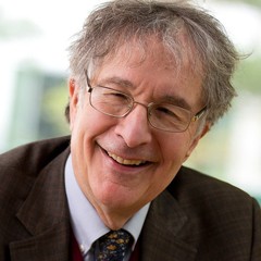 A beginner’s guide to Professor Howard Gardner