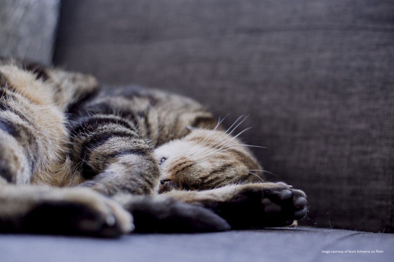 10 things I learned as a lazy NQT