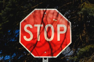 Stop sign among trees