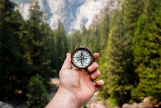 Holding compass again tree backdrop