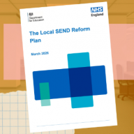 Council SEND reform plans could dodge public scrutiny