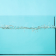 The REF helps make research open, transparent, and credible- let’s not lose that