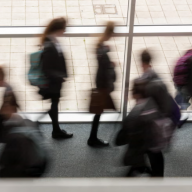 Teachers made ill by rats and hit by toaster receive share of £15m payout
