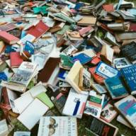 Specialist master’s ‘main victims’ of course-cutting spree