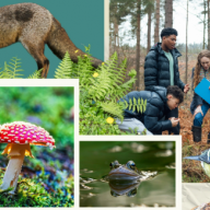 GCSE natural history: what schools need to know