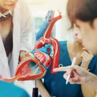 Asian international students shift to tech and health courses