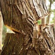 SEND system heading for ‘total collapse’, councils warn