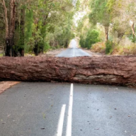 Red tape blocks school funding for children in care, finds Ofsted