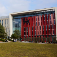 Birmingham City University urged not to axe Black studies MA