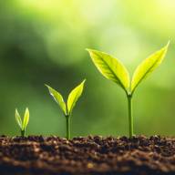 Is teacher recruitment showing ‘green shoots’ of recovery?