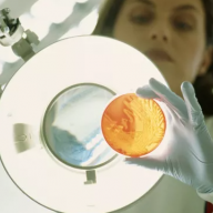 Ofsted and DfE warned of grade shift in new inspections