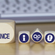 Proportionate online assessment is now a governance issue