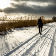 Subject cold spots are growing. We need to address the root causes